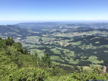 KAC Gaissau Kräuterwanderung 2019 06 29 13 05 18  3422